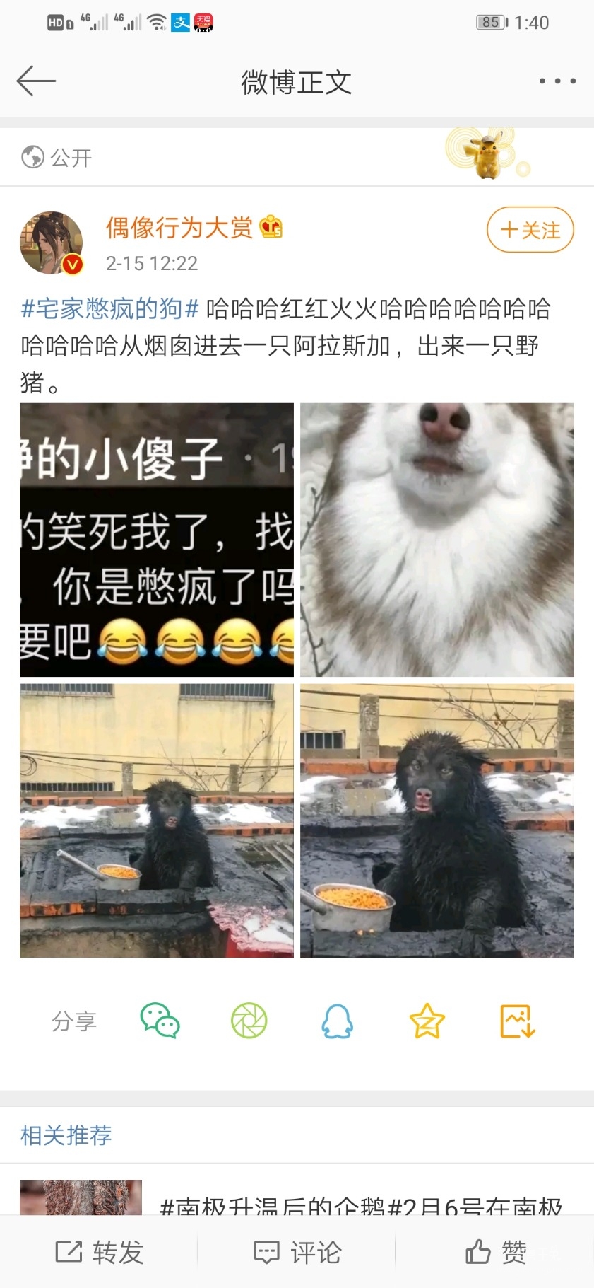 Screenshot_20200215_134033_com.sina.weibo.jpg