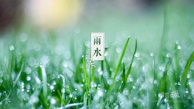 雨水.jpg