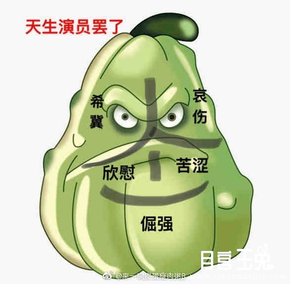 上面的这是一对图