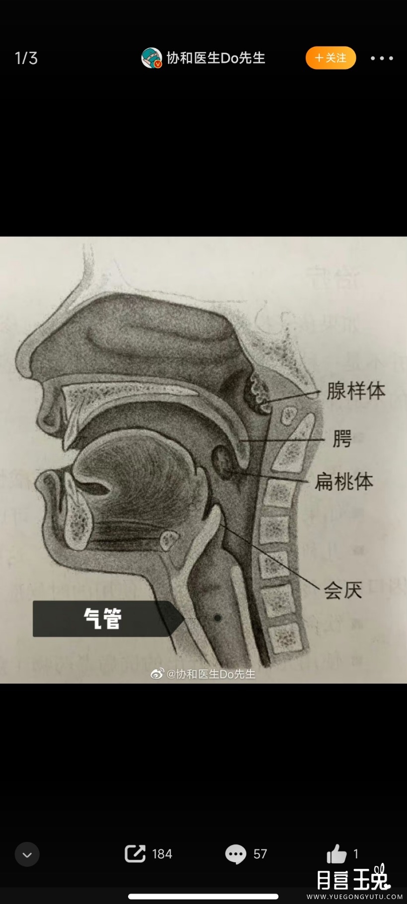 Screenshot_2023-05-27-10-12-39-065_com.sina.weibo.jpg