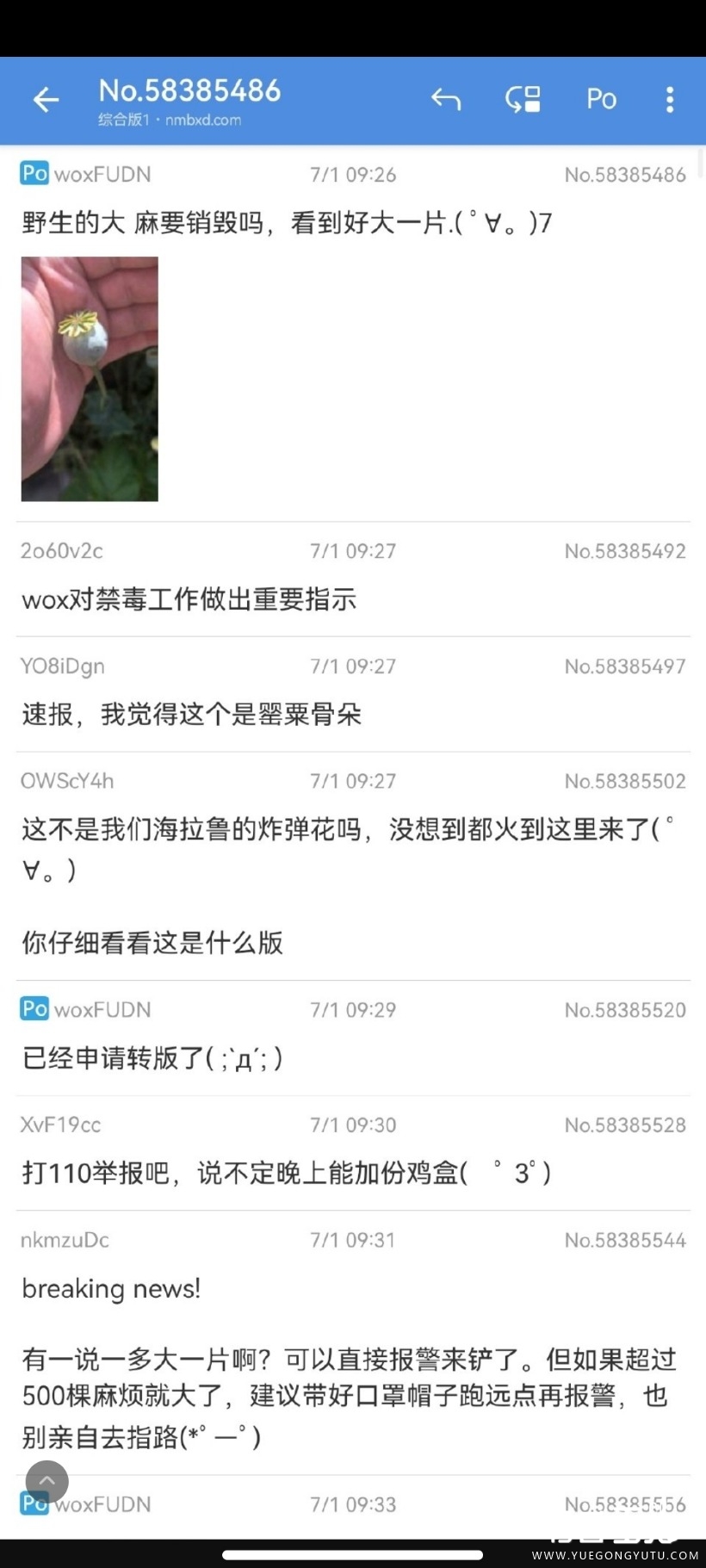 Screenshot_2023-07-04-13-43-31-110_com.sina.weibo.jpg