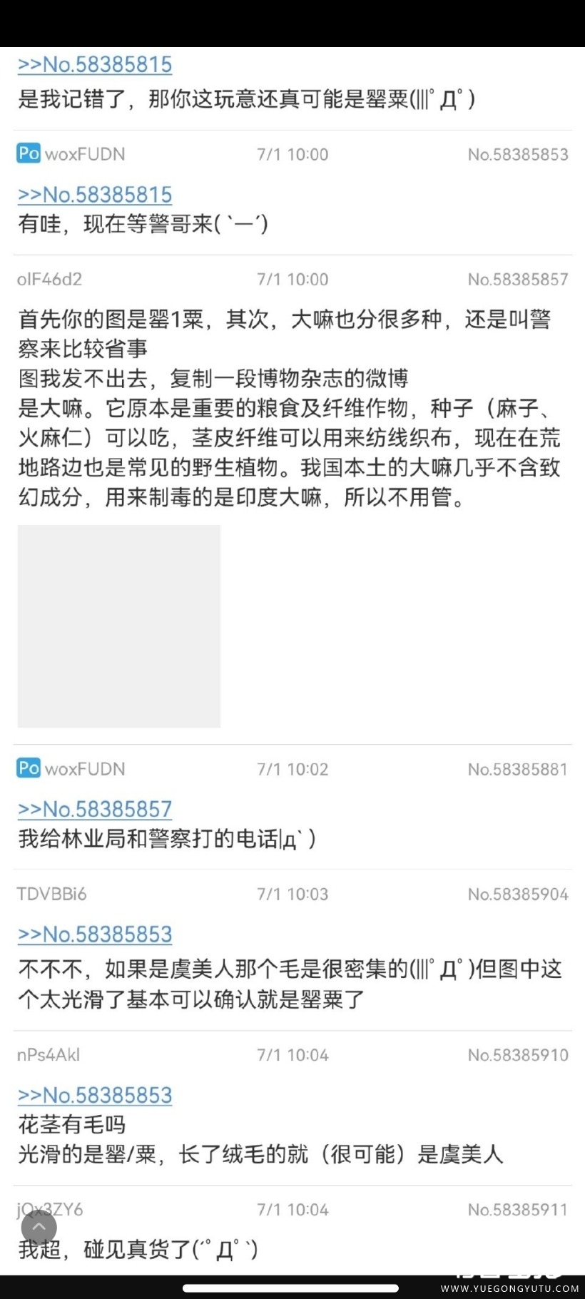 Screenshot_2023-07-04-13-43-41-038_com.sina.weibo.jpg